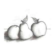 I n any still life, you should start to draw the objects as if they are transparent wire frame forms with visible lines of construction. Fruits Drawing By Keya Swaminarayan
