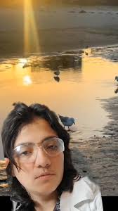 Arañas de Seda Dorada: Biogeografía y Características