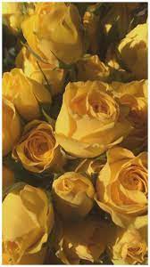 Check spelling or type a new query. Yellow Flower Yellow Pastel Aesthetic Wallpaper Novocom Top