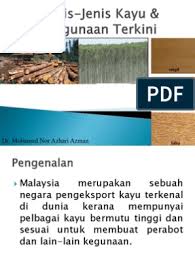 Kayu yang memiliki nama lain yellow balau atau balau ini banyak ditemukan di indonesia malaysia dan filipina. 2 1 Jenis Kayu Dan Kegunaan