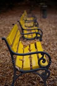 The Bench Where Jordan And Lover Meet Cast Iron Bench Garden Bench Bench