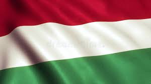 No caso de bandeiras para hasteamento externo (patios, praças, fachadas etc), não devem apresentar sua largura maior que 1/5 da altura do. Video Da Animacao Da Bandeira De Hungria 4k Filme Video De Hungria Patriotismo 78361584
