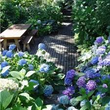 Apr 20, 2021 · sprinkle your shade garden with a few stunning plant combinations to act as focal points. Solutions For Shady Yards Landscaping Network
