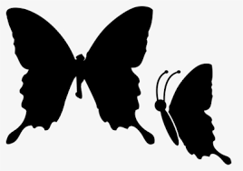 Download Butter Tree Nymph Butterfly Hd Png Download Kindpng