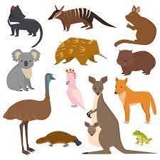 Certain kraus accessories like soap dispensers are available in a choice of finish to complement your faucet and complete the look of your kitchen. 15 403 Australian Animals Cliparts Stock Vector And Royalty Free Australian Animals Illustrations