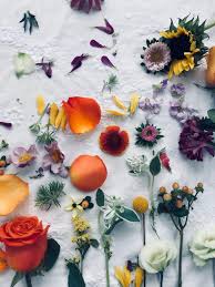 Unsplash is a well curated collection of beautiful photos donated by skilled photographers, and has unsplash's search tool is the fastest way to find a picture, but if you have a little time of your hands. Floral Wallpapers Free Hd Download 500 Hq Unsplash