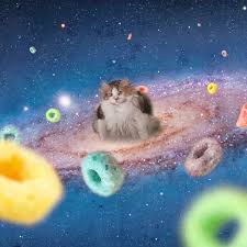 Brother I Have Becomes One With The Loops Cats Wanting Fruit Loops Know Your Meme