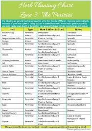 An Herb Growing Chart With Information On How And When To Start Or Seed Over 20 Annual And Perennial Herbs Specifi Prairie Garden Growing Chart Planting Herbs