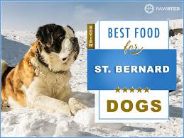 7 Best Foods To Feed An Adult And Puppy St Bernard In 2019
