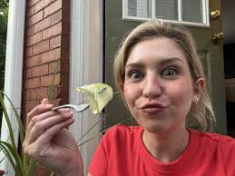 Get you a friend that gives you fresh produce from their garden! Our sports  guy, Andrew Clay hooked me up so I put them to use and made a cucumber  salad! Such