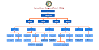 Indian Government Flow Chart Www Bedowntowndaytona Com