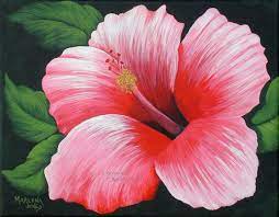 Pink Hibiscus One Of A Kind 8 X 10 Acrylic Painting Acrylic Painting Flowers Hibiscus Flower Drawing Flower Painting