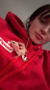 Red iguana with tank re homeing And I have more 40 gal tank 2 female  leopard gecko (orange color) with tanks 5 tree frogs whit tank