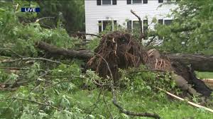 See The Extensive Damage After Severe Storms Ripped Through Nj Ny Pix11