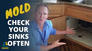 Mold Why You Should Look Under Sinks Often Youtube