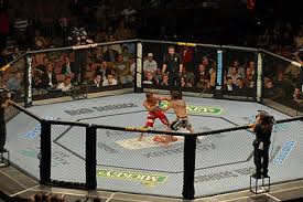 It's times like these that i really just appreciate what i do for work. Bericht Ergebnisse Zur Ufc Fight Night Mit Smith Vs Ozdemir