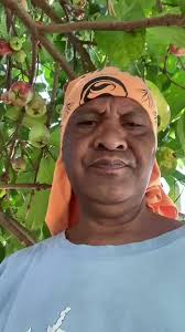 Planter des Fruits chez Soi pour un Bonheur Doux