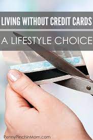 We did not find results for: Living Without Credit Cards Our Lifestyle Choice Credit Card Time Value Of Money Financial Education