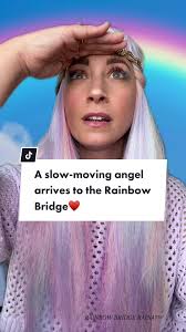 A slow-moving angel arrives to the Rainbow Bridge♥️