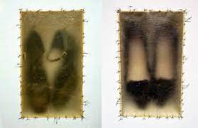 Gift of barbara lee, the barbara lee collection of art by women. Doris Salcedo Atrabiliarios 1992 2009 Doris Salcedo Art Abstract Artwork
