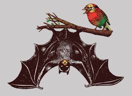 Birds On The Bat Forum Bat Rob Batman Robin Cool Art Real Batman