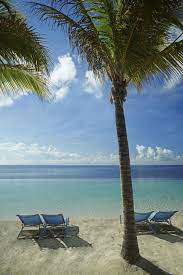 Top 15 Things To Do In Curacao Curacao Beaches Curacao Resorts Curacao Island