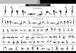 Image result for Primary Series