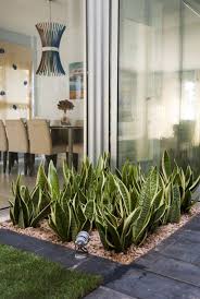 Ada banyak ruang yang bisa dijadikan area taman indoor. Penyuka Tanaman Ini Dia 5 Ide Taman Kering Dalam Rumah Kumparan Com
