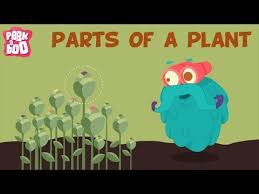 Parts Of A Plant The Dr Binocs Show Learn Series For Kids Youtube Kindergarten Science Plant Science Plant Lessons