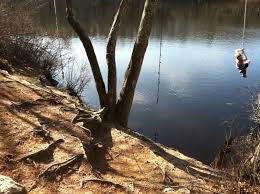 Rope Swing At Punchbowl Pond Beebe Woods Falmouth Beebe Photo Rope Swing