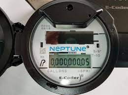 Meter Reading Bayou Des Cannes Water System