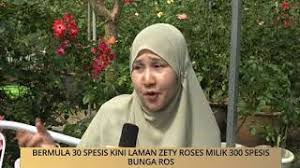 Taman zety roses, kampung tanjung aur, hulu terengganu. Tengkujuh Tak Jejas Taman Ros Terengganu Mynewshub