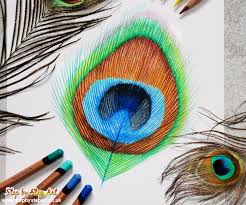 Peacock Feather Tutorial Coloured Pencils Step By Step Art Art Tutorials Articles Product Reviews Art Workshops Clip art is a great way to help illustrate your diagrams and flowcharts. peacock feather tutorial coloured