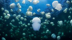 We did not find results for: Rgbgr Er0y8xym