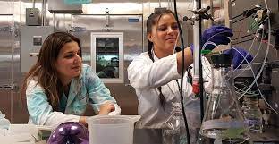 Chemistry Alumna Shannen Cravens Returns To Talk Research At Symposium University Of San Diego