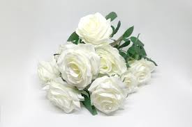 What Do White Roses Mean And Symbolize Floraqueen