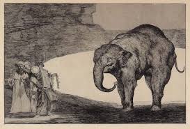 Rex Irwin Art Dealer Important Works On Paper Sculpture 2005 Francisco Goya Elephant Art Wildlife Art