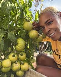 Lisa Digby's Instagram, Twitter & Facebook