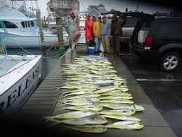 Hatteras Island Fishing Report March 31 2012