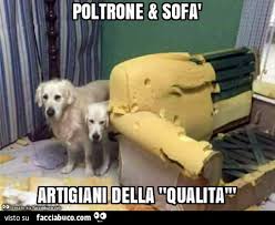 Poltrone Sofa Artigiani Della Qualita I Cani Distruggono Il Divano Facciabuco Com Ho sfoderato il mio divano per la prima volta e mi sono accorto delle pessime cuciture altro che artigiani della qualità, con sfilacciamenti ovunque, l'incollaggio delle imbottiture di spugna sono alt. poltrone sofa artigiani della