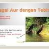 Hubungan samada persahabatan atau persaudaraan yang sangat bagai aur dengan tebing. 1