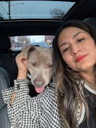 Fayetteville NC ‼️ Urgent for space-needs out NOW ‼️ REACHER (A413169)  video in comments can u foster to save a life? contact  ahill@cumberlandcountync.gov Meet Reacher! This handsome boy with the  gorgeous ears