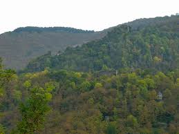 Votez à votre tour : Pont De Larn Map Of Pont De Larn 81660 France