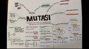 Maybe you would like to learn more about one of these? Peta Konsep Mutasi Youtube