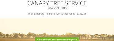 5 Best Tree Services In Jacksonville