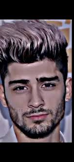 Zayn Malik Mcdonalds