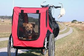Fahrradanhaenger Hunde Jpg 480 320 Fahrradanhanger Hund Fahrrad Fahrradtour