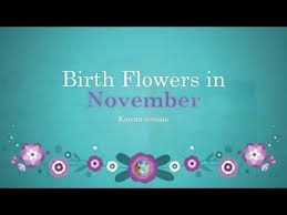 Korean Birth Flowers For November Youtube