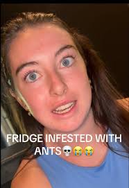 Yumi Ants Blowing Up My Fridge