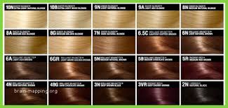 Hair Color Shades Chart New Mon Japanese Hair Shade Names 21